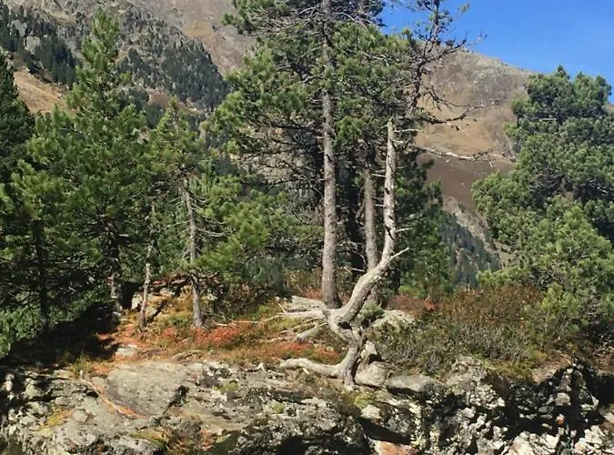 Helga Zell am Ziller