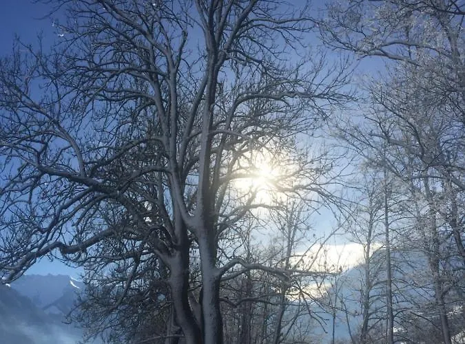 Apartamento Helga Zell am Ziller