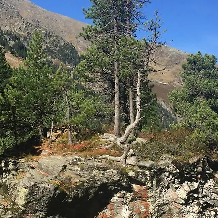 Helga Zell am Ziller