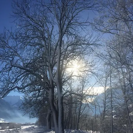 Apartamento Helga Zell am Ziller